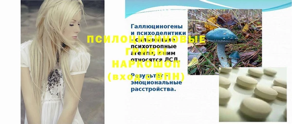 молекула духа Балахна
