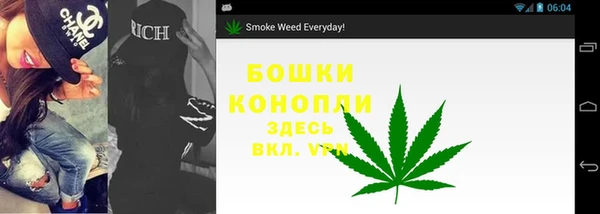 прущие грибы Ростов