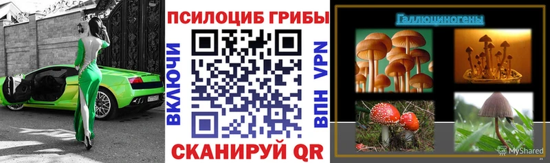 kraken ТОР Поронайск Псилоцибиновые грибы ЛСД